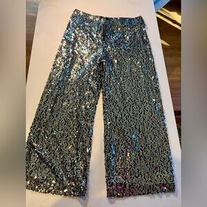 Size 30 NWT Anthropology Maeve the Collette wide leg sequen cropped pants